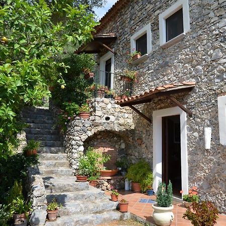 Agrestis Domus Guest House San Giovanni a Piro Exterior foto