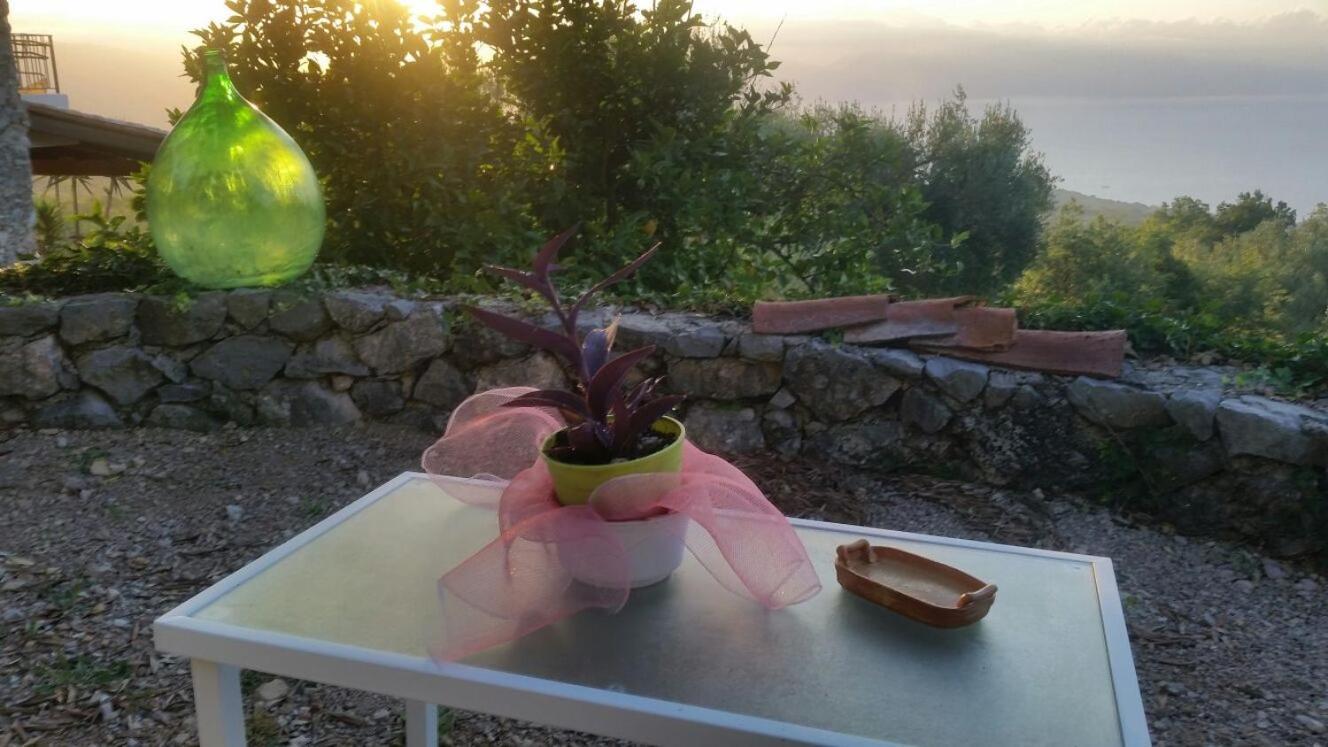 Agrestis Domus Guest House San Giovanni a Piro Exterior foto