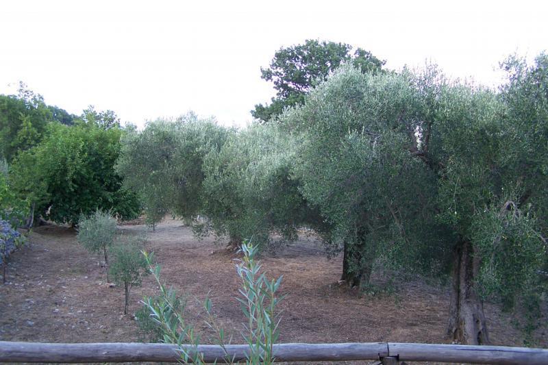 Agrestis Domus Guest House San Giovanni a Piro Exterior foto
