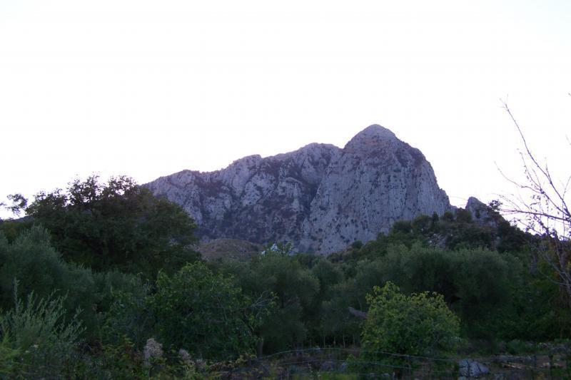 Agrestis Domus Guest House San Giovanni a Piro Exterior foto