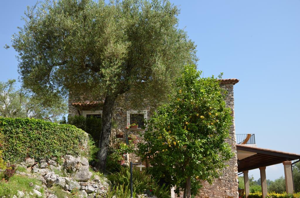 Agrestis Domus Guest House San Giovanni a Piro Exterior foto