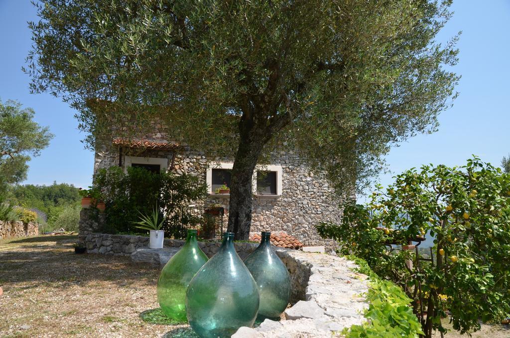 Agrestis Domus Guest House San Giovanni a Piro Exterior foto