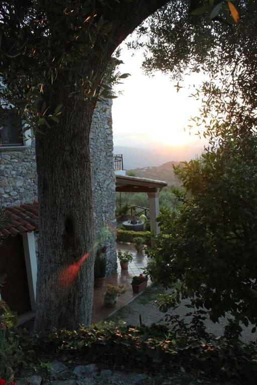 Agrestis Domus Guest House San Giovanni a Piro Exterior foto
