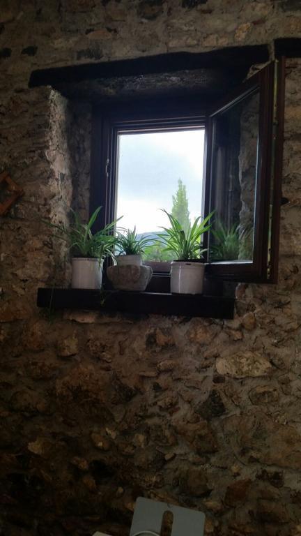 Agrestis Domus Guest House San Giovanni a Piro Exterior foto