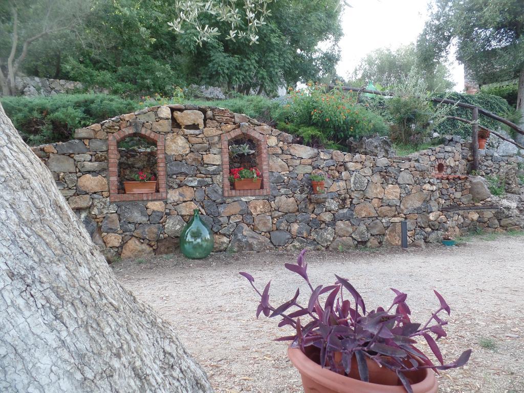 Agrestis Domus Guest House San Giovanni a Piro Exterior foto